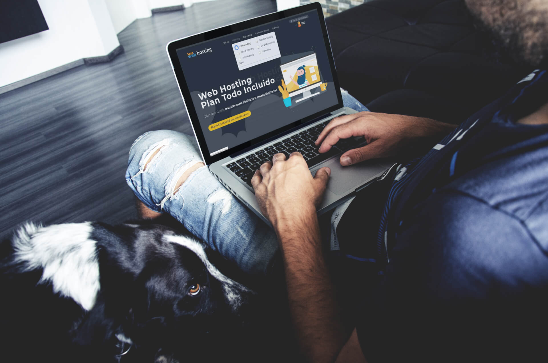 diseño de paginas web
